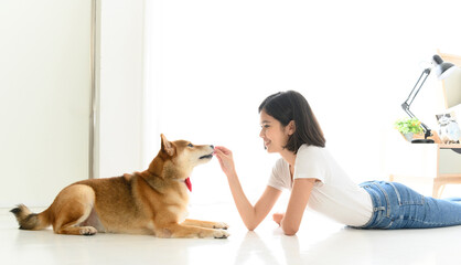 Laughing jocund young asian woman sitting on the floor playing with her Shiba Inu Japanese dog, Cheerful and nice couple with people and pet, Cheerful and nice couple with people and pet.