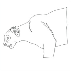 Continuous one line drawing of cougar, Vector illustration line art.