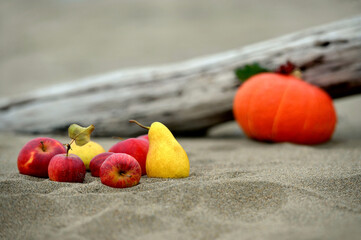 apples pears and pumpkin on the sand