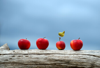 apples on a background of blue sky 