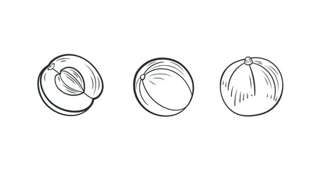 Vector gooseberries outline drawings set, amla illustration, berries isolated on white background, sketched icons.