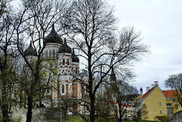 Alexander Nevsky Cathedral seen through bare trees in the Old Town, Tallinn, Estonia