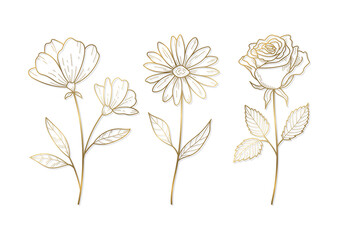 花の装飾用のイラスト　デザインやグラフィック用の素材　ベクターイラストのセット　金色の線画