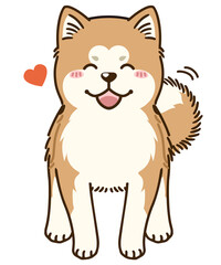 懐く秋田犬