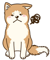 目をそらす秋田犬