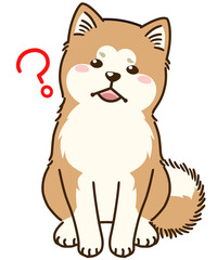 疑問に思う秋田犬