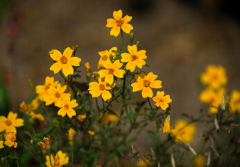 im Botanischen Garten