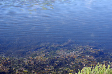 Réserve naturelle s'Albufera des Grau