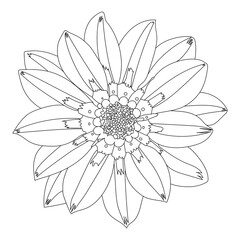 Line drawing design of a flower. vector illustration