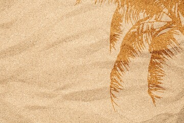 Sand texture. Sandy beach with palm shadow for background.