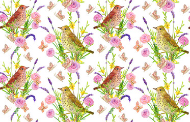texture with wild little birds in meadow summer flowers on white background. watercolor painting