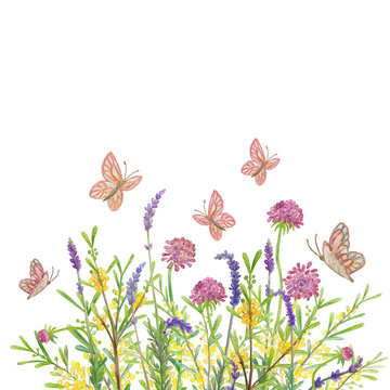 meadow summer flowers and flying butterflies. watercolor painting