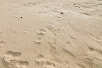 Plage de sable