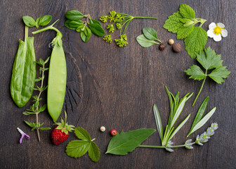 Fresh spices and herbs on wooden background, top view