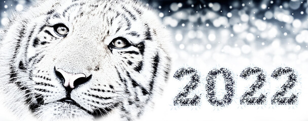 2022  New Year’s card abstract background with a tiger, with snowflakes, новогодние  illustration.