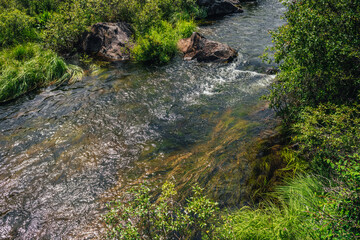 Scenic green landscape with algae in clear water of mountain stream. Green nature background with water plants in transparent water stream among lush vegetations. Underwater grass in mountain brook.