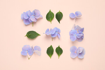 Beautiful hortensia flowers with leaves on pale light beige background, flat lay