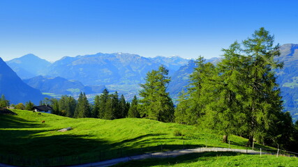 Auf dem Fürstensteig in Liechtenstein mit Alpenblick ins  Rheintal umgeben von grünen Wiesen und Bäumen - obrazy, fototapety, plakaty