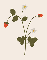 Vintage illustration of wild strawberry. Medicinal herb. Branch with leaves, flowers and berries. Botanic vector of forest flora. Hand drawn colorful floral element. Clipart for design and print