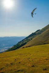 Hang glider just after launch from Monte Cucco Regional Park, Umbria, Italy
