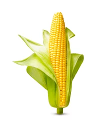 Fotobehang Ear of corn isolated on a white background. Fresh corncob. © Valentina R.