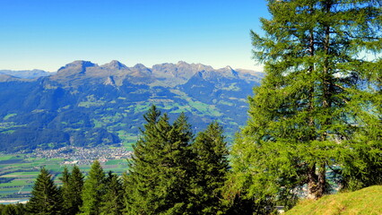 Auf dem Fürstensteig in Liechtenstein mit Alpenblick ins  Rheintal umgeben von grünen Wiesen und Bäumen