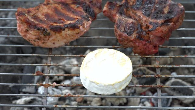 Cheese on barbecue. Delicious pieces cheese is roasted on charcoal on metal grill for picnic celebration close up. Сook, control and turn camembert with tongs. Bonfire and BBQ background.