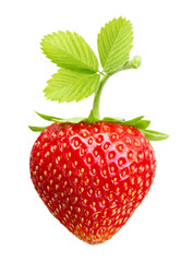 Close-up berry on white background. Perfect strawberry with leaf isolated.