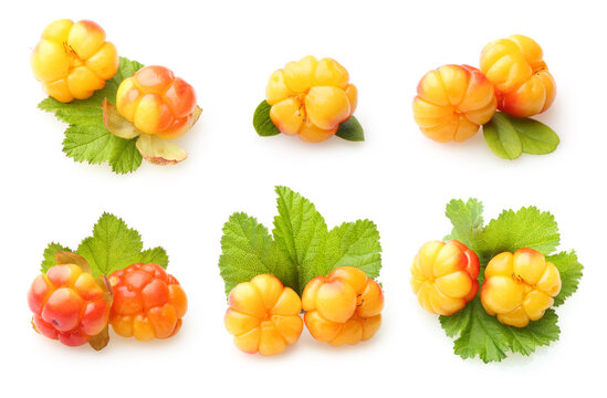 Close-up cloudberry set on white background. Perfect forest berry isolated.