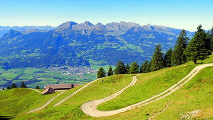 Idyllischer sonniger Wanderweg beim Fürstensteig in Liechtenstein mit grünen Wiesen und hohen...