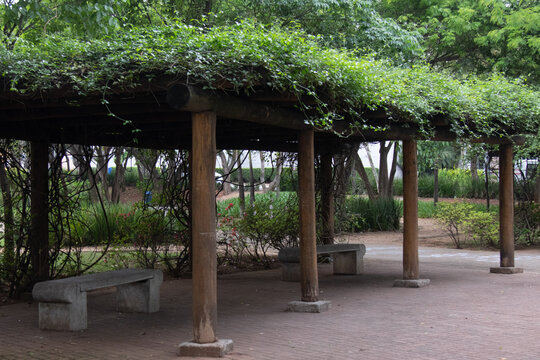 Gazebo de madeira com plantas na parte superior