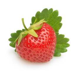 Close-up berry on white background. Perfect strawberry with leaf isolated.