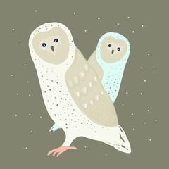 Vector Illustration Of Wild Birds Owls - 459505387
