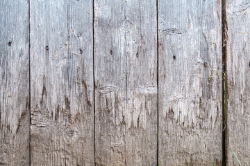 Fototapeta premium Wooden background from dry boards. Copy space. Wall of an old barn. Close-up.