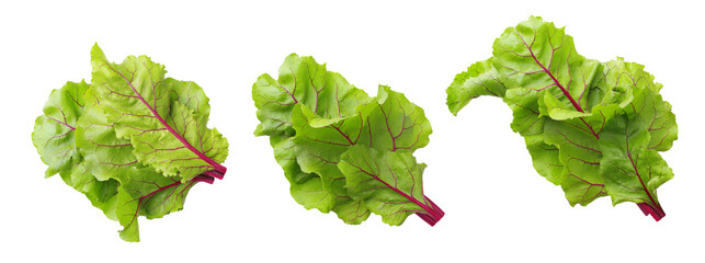Beetroot leaves, fresh beet leaf set isolated on white background. Salad leaf ingredient. Top view.