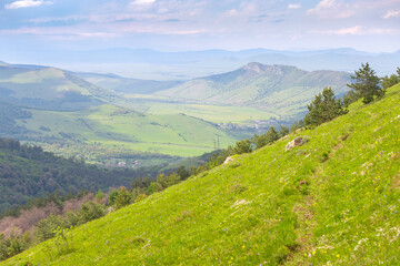 Naklejka premium A barely noticeable path leads along a grassy hillside in the countryside