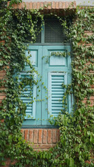 Fototapeta na wymiar Blue wooden window on brick wall covered with green plants
