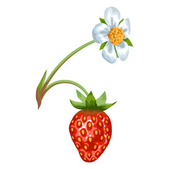 Stylized illustration of strawberry twig. Image for design or decoration.