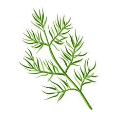 Stylized illustration of dill. Image for design or decoration.