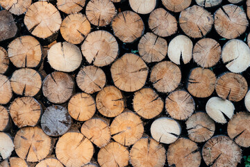Natural wooden background - closeup of chopped firewood. Firewood stacked and prepared for winter Pile of wood logs