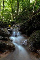 Wasserfall Natur Bach Frühling