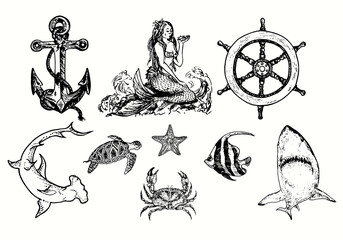 Marine collection,  anchor, mermaid, Ship`s wheel , Hummerhead shark, Sea turtle Chelonioidea, sea star, crab,  schooling bannerfish,  white shark. Ink black and white doodle drawing in woodcut  style