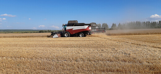 Corn harvesting concept; Combine harvester on agricultural field