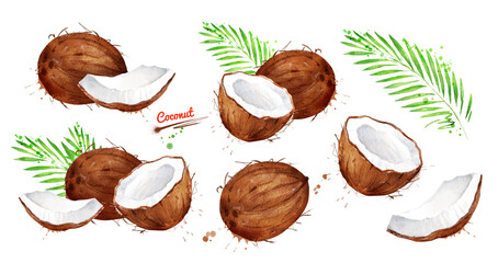 Watercolor illustration set of coconut - obrazy, fototapety, plakaty