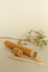 Fpcus on ecological wooden toothbrush, case on isolated background near twig.