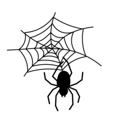 Black spider and  web. Scary spiderweb of Halloween symbol. Vector illustration isolated on white background.