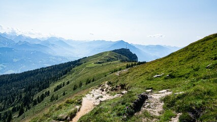 Fototapeta na wymiar Niederhorn, Berner Oberland