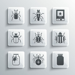 Set Spider, Glass jar, Colorado beetle, Beetle bug, in, Stink, and Book about insect icon. Vector