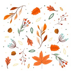 autumn leaves seamless pattern. Illustration autumn 