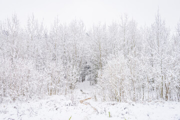 Winter city park covered with snow in Minsk, Belarus